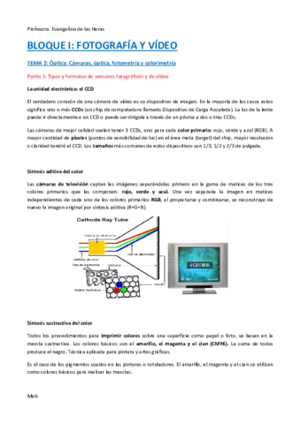 Bloque I - Tema 2 MAVIS.pdf