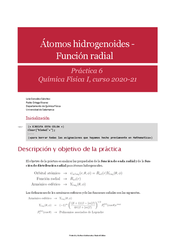 P6-Ines.pdf