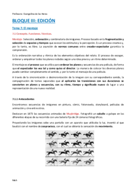 Bloque III Tema 7 MAVIS.pdf