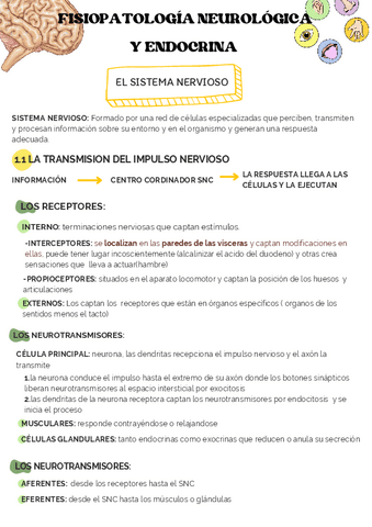 fisiopatologia-neurologica-y-endocrina.pdf