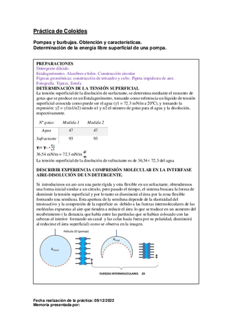 laboratorio-burbujas.pdf