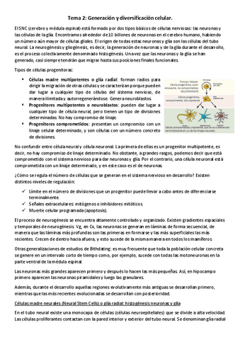 T8-NBM-Generacion-y-diversificacion-celular.pdf