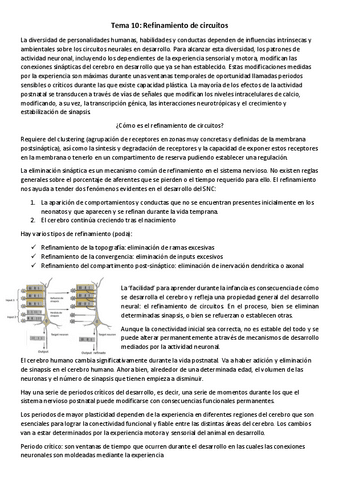 T10-NBM-Refinamiento-de-circuitos.pdf