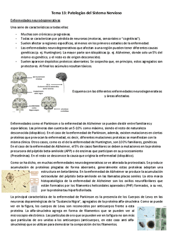 T13-NMB-Patologias-del-Sistema-Nervioso.pdf