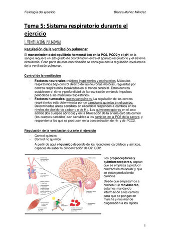 Tema-5.pdf