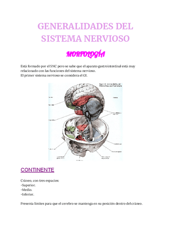 aa-GENERALIDADES-DEL-SISTEMA-NERVIOSO-Y-EMBRIOLOGIA.pdf