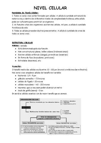 NIVEL-CELULAR.pdf