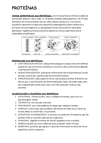 Proteinas.pdf