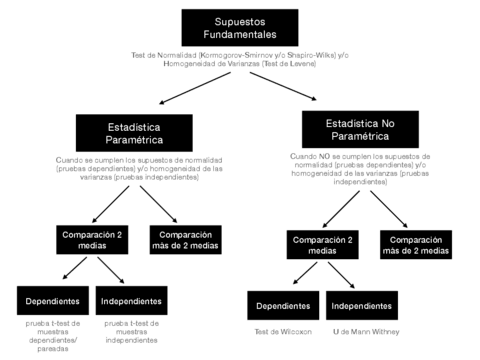 Esquema-pruebas.pdf