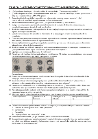 Preguntas-2 parcial repro 2022-23.pdf