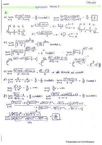 T1.-Ejercicios.-Calculo-I.pdf
