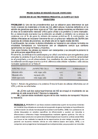 Examen-Global-Extraordinaria-2020-21.pdf