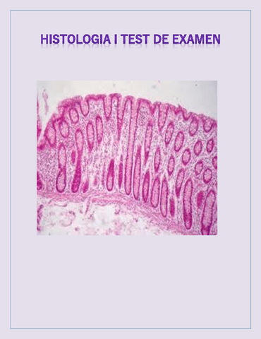 HISTOLOGIA-EXAMEN.pdf
