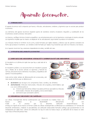 Aparato-locomotor.pdf