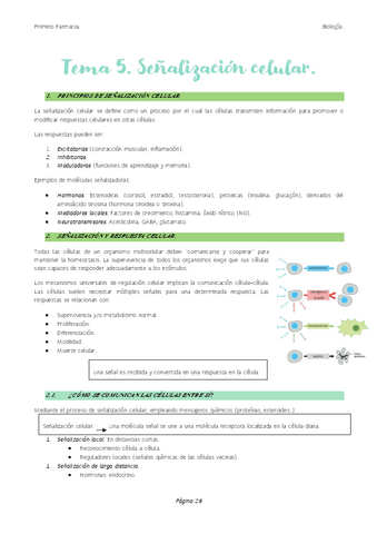 Tema-5.-Senalizacion-celular..pdf