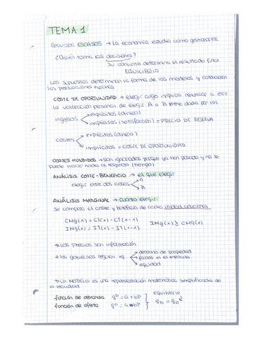 Resumen-Tema-1.pdf