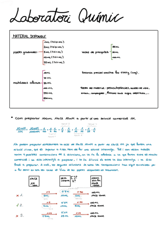 exercicis-lab-quimic.pdf