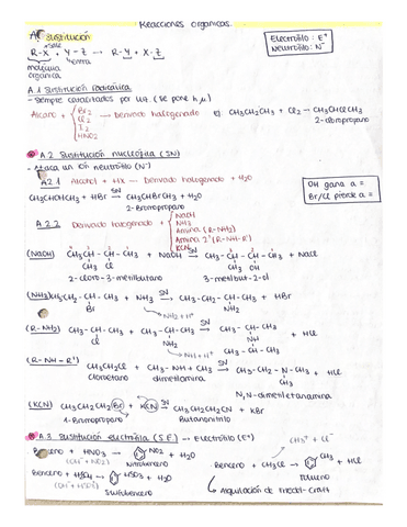 REACCIONES-ORGANICAS.pdf