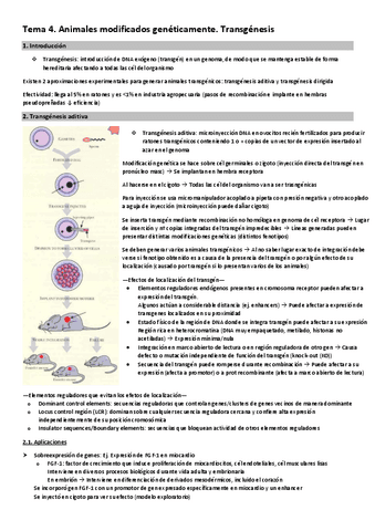 Tema-4.-Animales-modificados-geneticamente.-Transgenesis.pdf