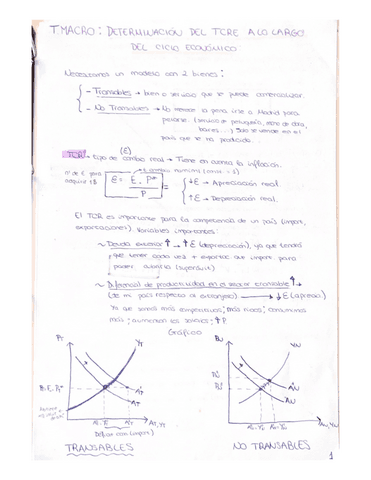 RESUMEN-DE-TODA-LA-ASIGNATURA.pdf