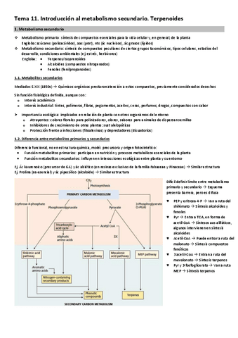 Tema-11.-Introduccion-al-metabolismo-secundario.-Terpenoides.pdf