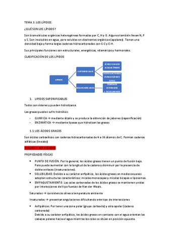 TEMA-3-LOS-LIPIDOS.pdf