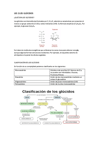 UD-2-LOS-GLUCIDOS.pdf