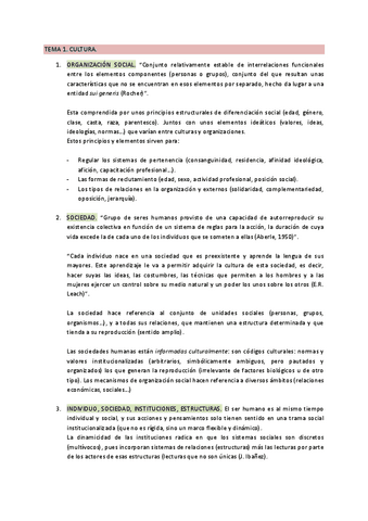 TEMA-1-CULTURA.pdf
