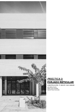 PRACTICA3FORJADO-RETICULAR.pdf