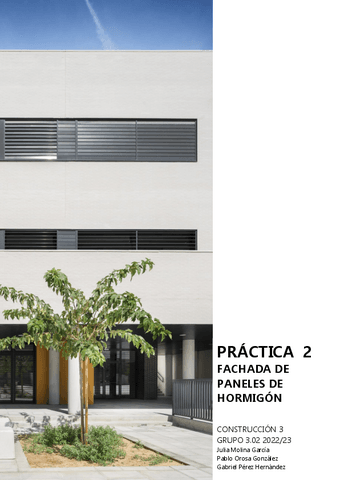 PRACTICA2PANELES-HORMIGON.pdf