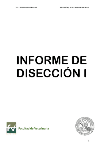 Informe-de-diseccion.pdf