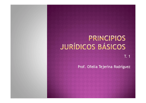 T.1.a-Principios-Juridicos.pdf