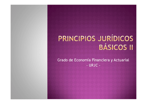 T.1.b-Principios-Juridicos.pdf