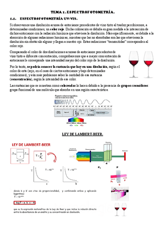 TEMA-1.1-TECNICAS..pdf