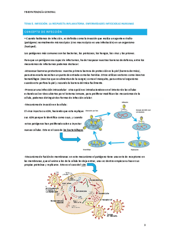 Fisiopatologia-T5.pdf