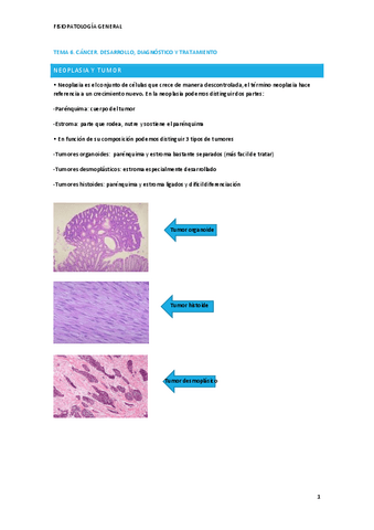 Fisiopatologia-T6.pdf
