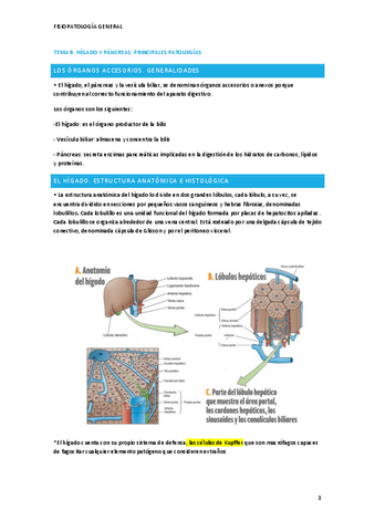 Fisiopatologia-T9.pdf