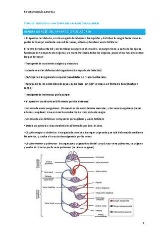 Fisiopatologia-T10.pdf