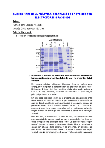 CUESTIONARIO-SEPARACION-DE-PROTEINAS-ELECTROFORESIS-ANDRESBERROCAL1637291-CARLOTABARCELO1641914.pdf