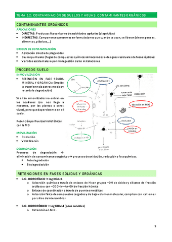 Tema-5.2.pdf
