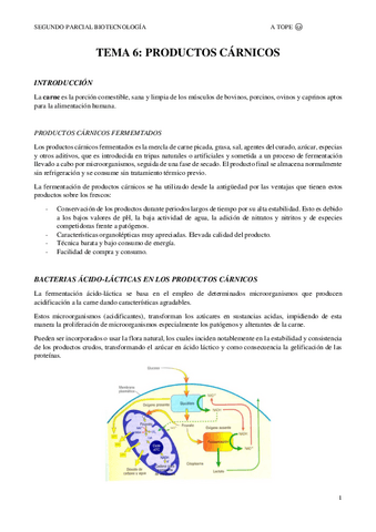 TEMA-6.pdf