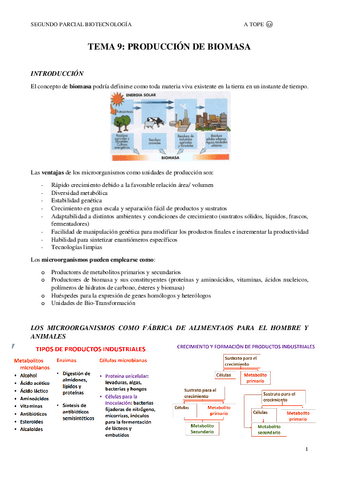 TEMA-9.pdf