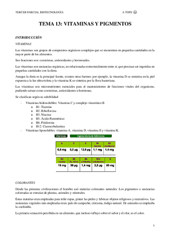 TEMA-13.pdf