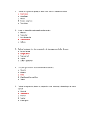 TESTS ANATOMÍA.pdf