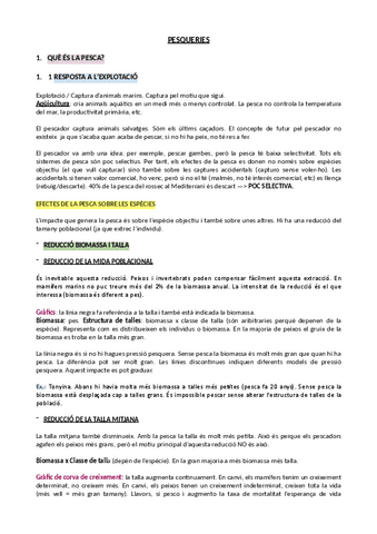 1.-QUE-ES-LA-PESCA.pdf