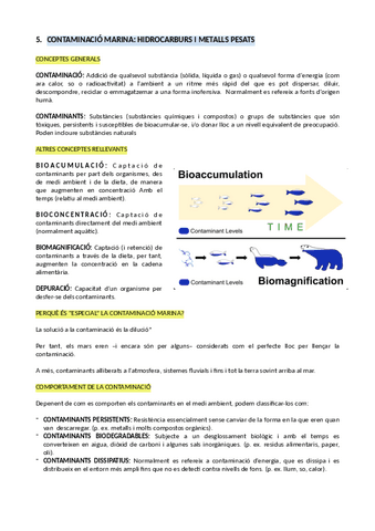 5.-CONTAMINACIO-MARINA-HIDROCARBURS-I-METALLS-PESATS.pdf
