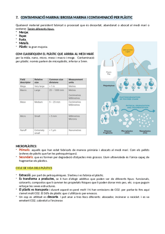 7.-CONTAMINACIO-MARINA-BROSSA-MARINA-I-CONTAMINACIO-PER-PLASTIC.pdf