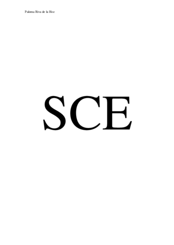 SCE primer semestre.pdf