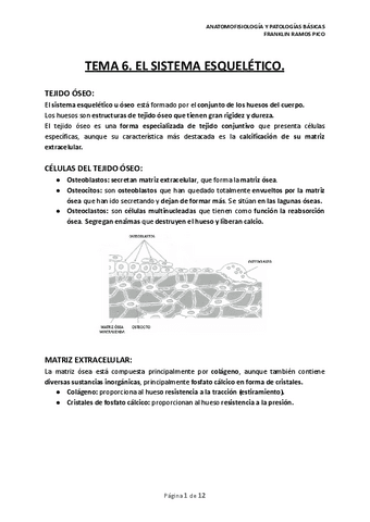 TEMA-6.-EL-SISTEMA-ESQUELETICO..pdf