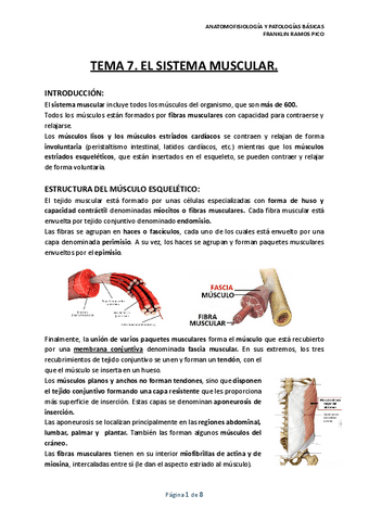 TEMA-7.-EL-SISTEMA-MUSCULAR..pdf
